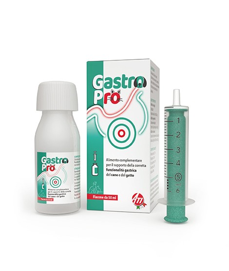 GASTRO PRO