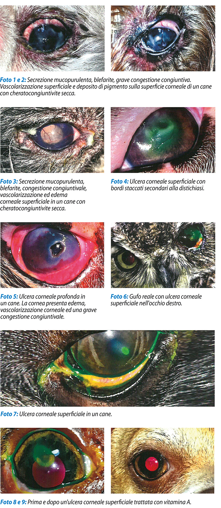 Immagini articolo.jpg