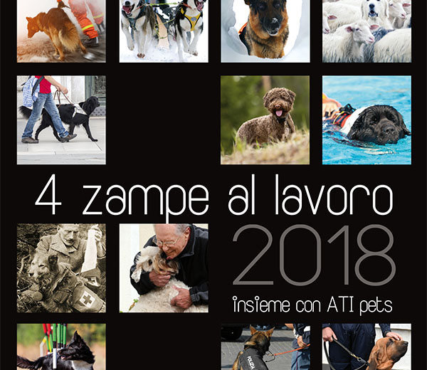 Calendario ATI 2018