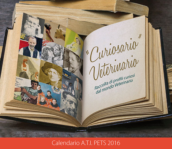 Calendario ATI 2016