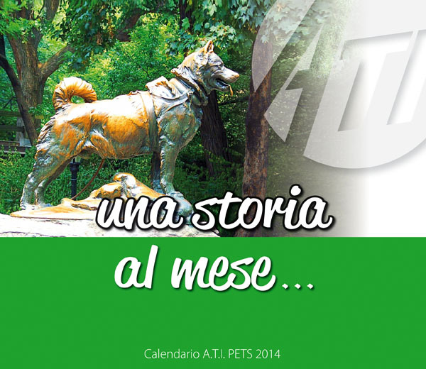 Calendario ATI 2014